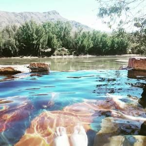 Meet your Posher, Cheyenne